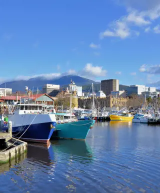 Geniesse frische Meeresfrüchte in Hobart